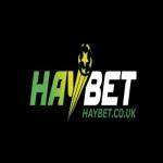 Nhà Cái Haybet Profile Picture