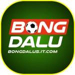 BongDa Lu Profile Picture