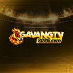 Gavangtv 2026 Profile Picture