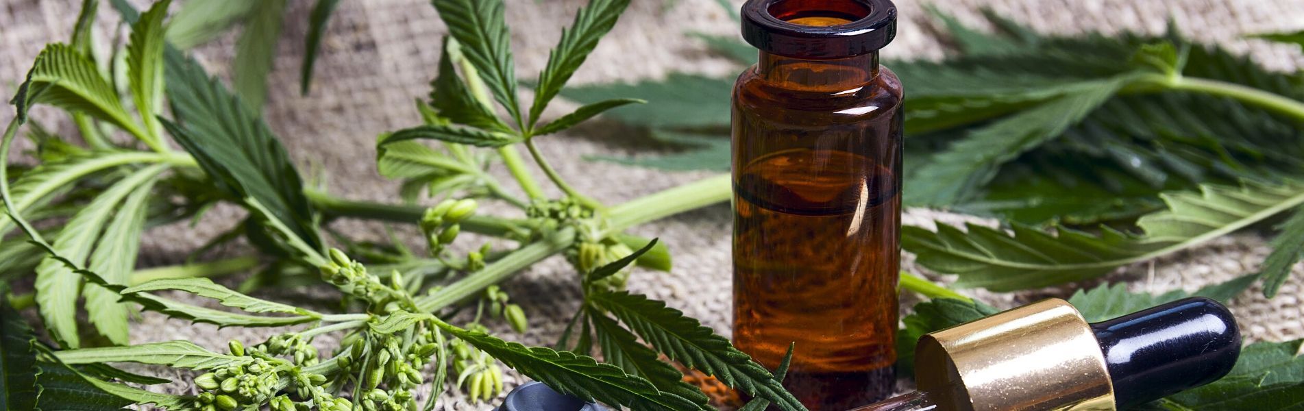 Why Are CBD Products So Expensive? – Canna River