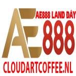 AE888 LAND Profile Picture