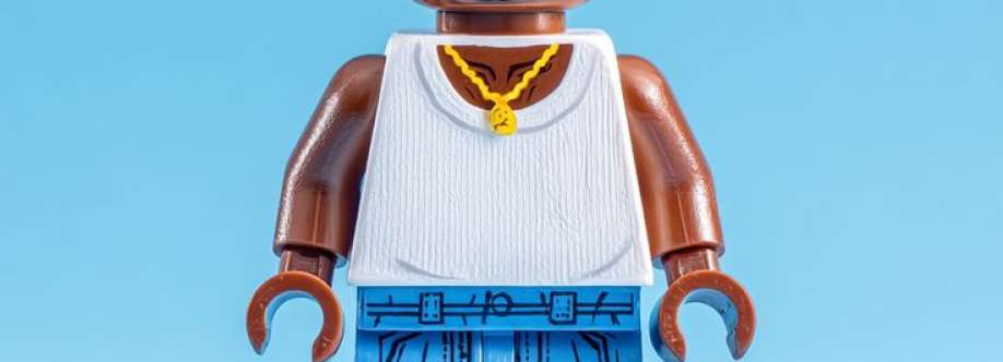 florjan hasani Cover Image