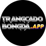Trang Cá Độ Bóng Đá Profile Picture