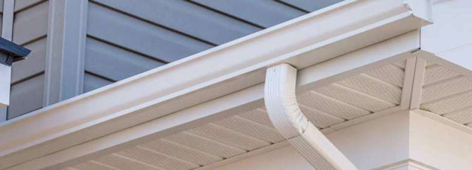 Platinum Roofing and Exteriors Cover Image
