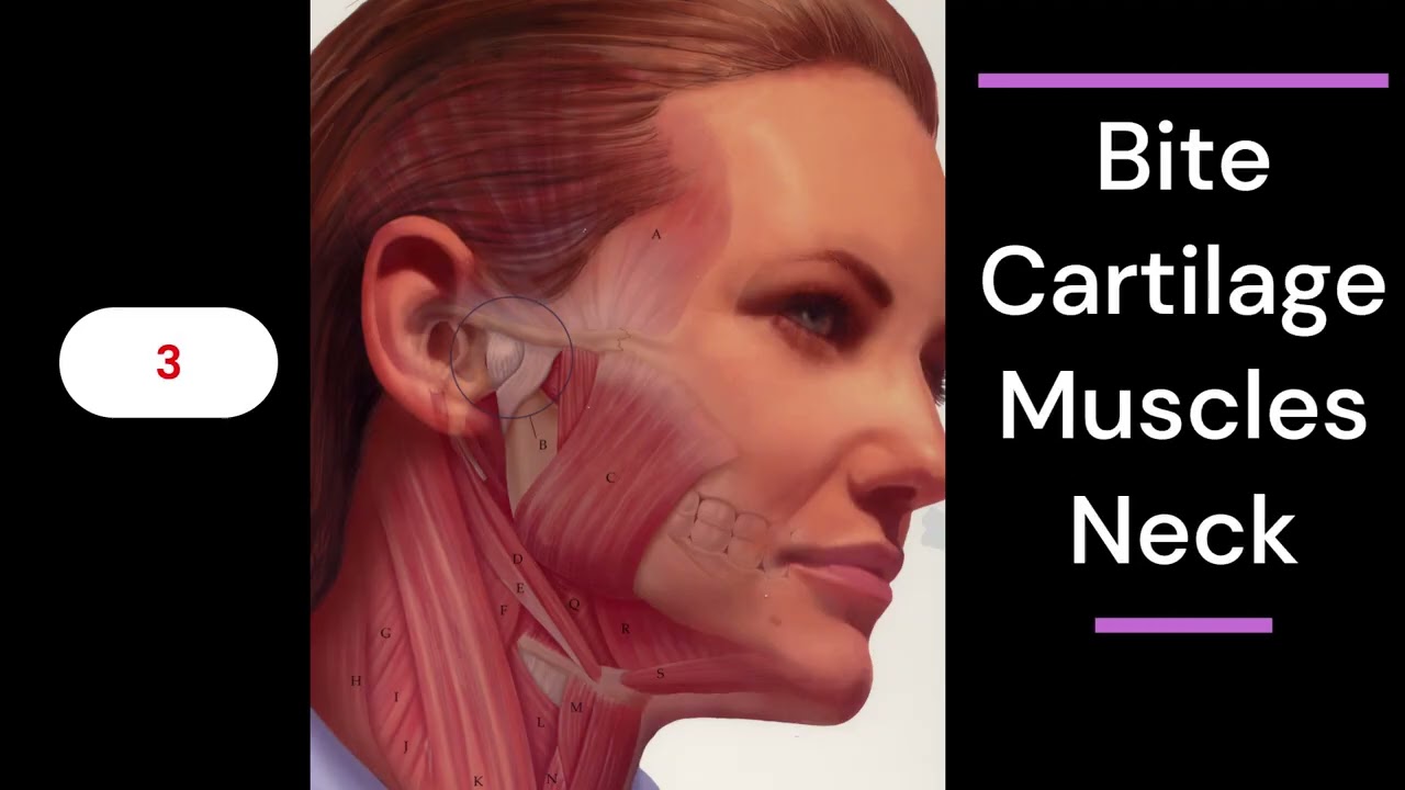 Top TMJ & Migraines Specialist in Walled Lake, Michigan