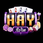 Haywin 4com Profile Picture