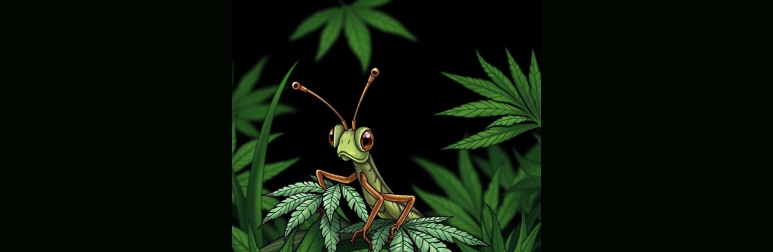 Grasshopper Canna Cover Image