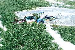 Aquatic Weed Harvester | Lake Cleaning Machine & Floating Trash Collector | Rudra