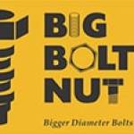 Big Bolt Nut Profile Picture