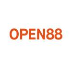 Open888 ink Profile Picture