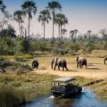 LuxuryAfrican LuxuryAfrican Profile Picture