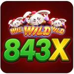 843x org Profile Picture