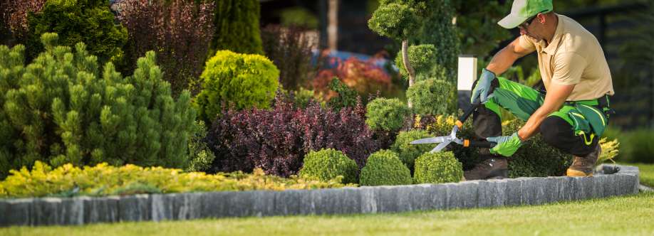 Garden Ltd Cover Image