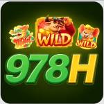978h org Profile Picture