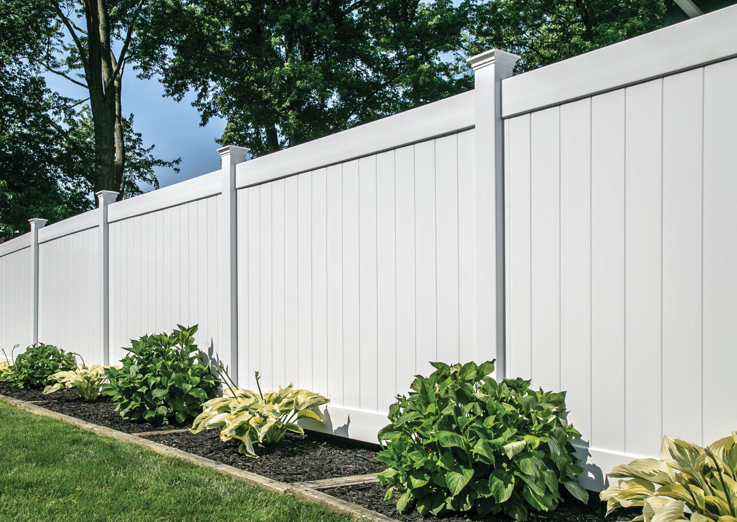 Fence Builder Saskatoon | Wood & Privacy Fences | PLCPlus