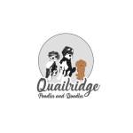 quailridgepoodlesan ddoodles Profile Picture