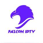 Falcone TV Profile Picture
