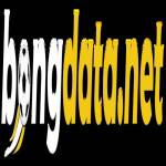Bongdata Biz Profile Picture