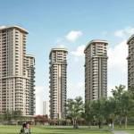 Ace Noida Profile Picture