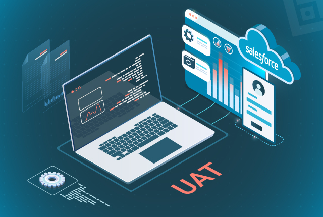 Report Outputs Verified Through Salesforce UAT Testing