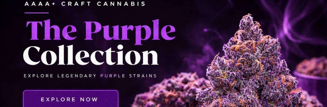 The Purple Shop Cannabis Cover Image