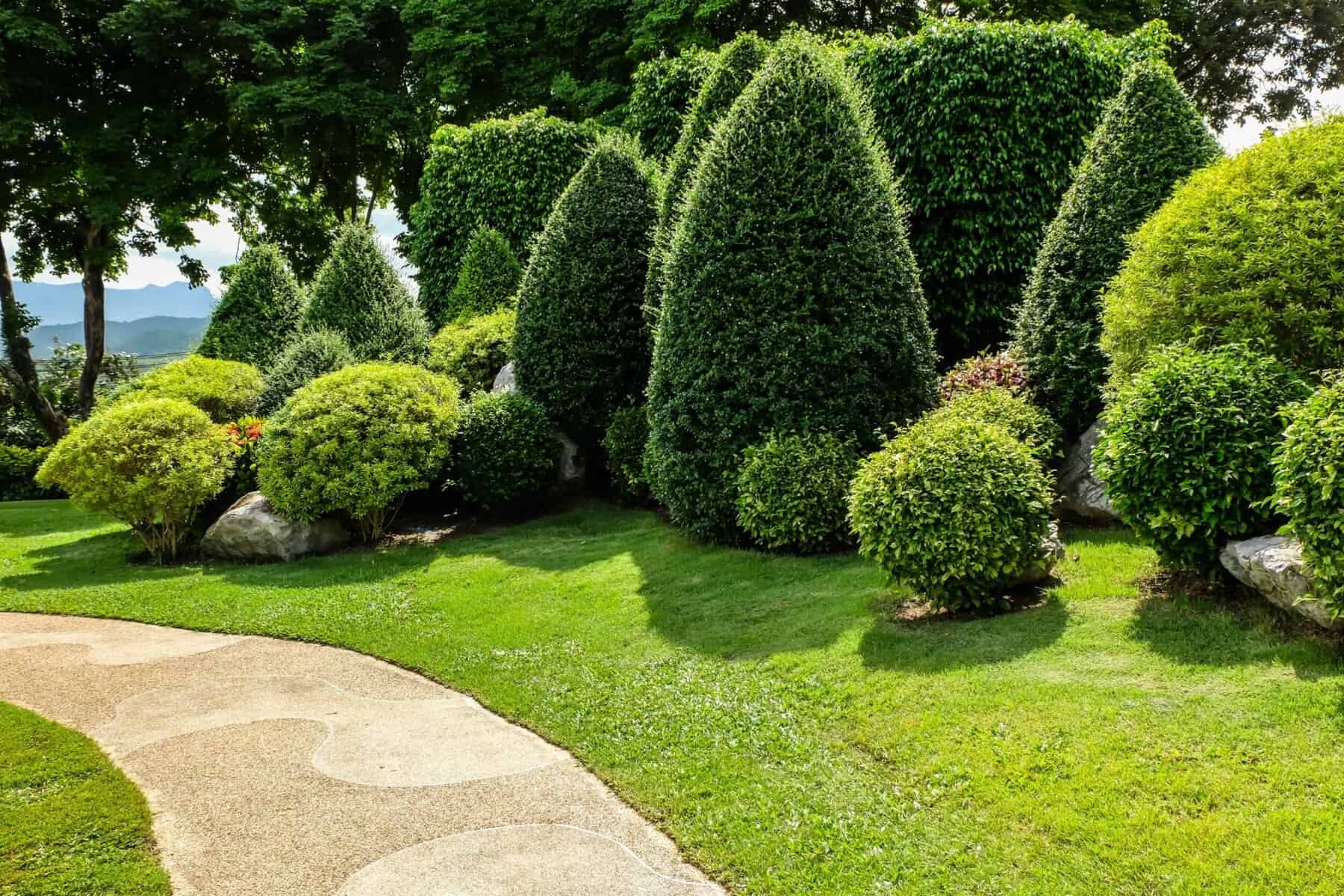 Tree Pruning Claygate - Parish Arboriculture Ltd