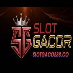 Kasino Slot Gacor Profile Picture