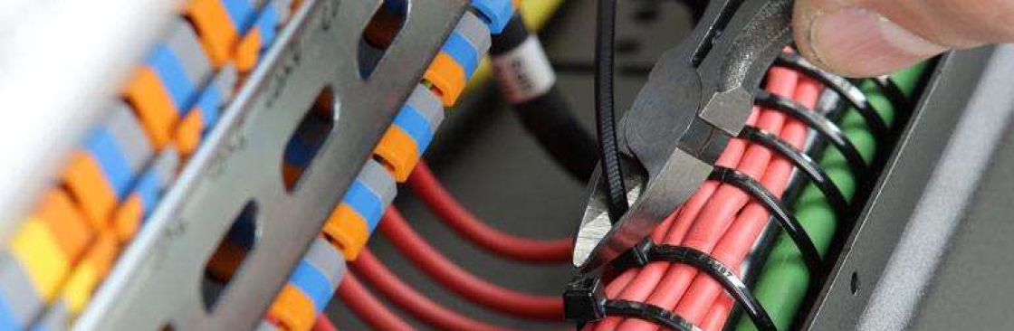ziptie man Cover Image