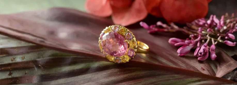 Emma Chapman jewels Cover Image