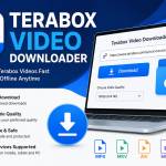 Terabox Video Downloader Profile Picture