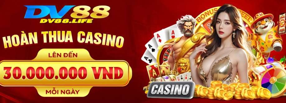 dv88 life Cover Image