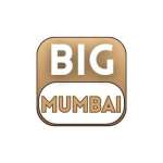 Big Mumbai Game Profile Picture