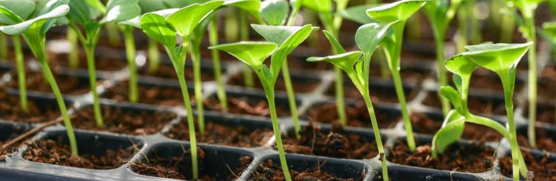 Vego Garden Cover Image