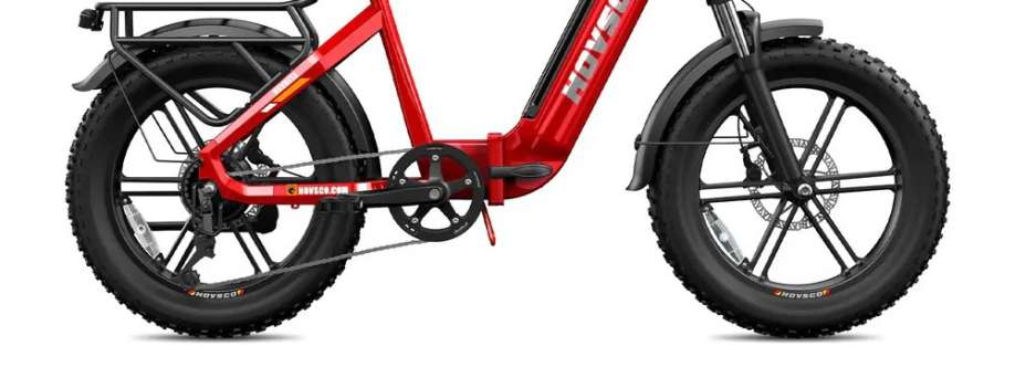HOVSCO HovBeta Foldable E Bike Cover Image