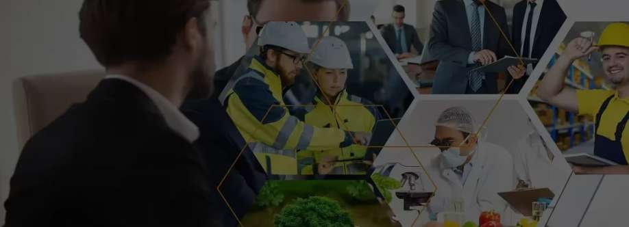 sistemieconsulenze Cover Image