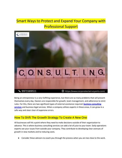 Smart Ways to Protect and Expand Your Company with  Professional Support | PDF