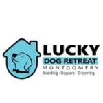 Lucky Dog montgomery Profile Picture