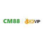 cm88 seocom Profile Picture