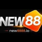 NEW88 Nhà Cái       NEW88 Profile Picture