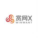 yingwang tech Profile Picture