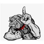 Mad Dogs Drywall and Painting Profile Picture
