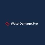 Water Damage Pro of Edwardsville Profile Picture