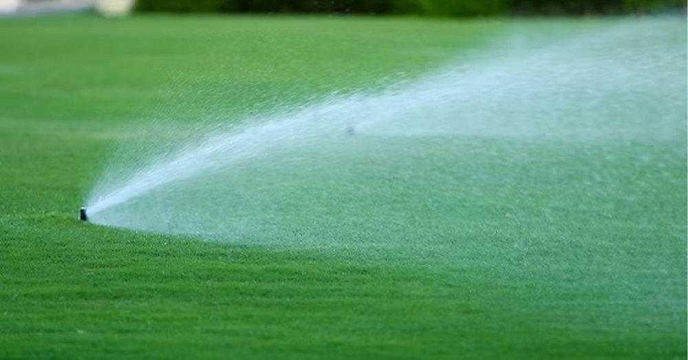 Common Signs Your Sprinkler System Needs Repair Fast