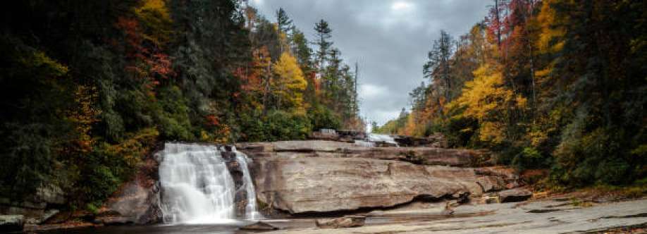 Archana Holly Springs Cover Image