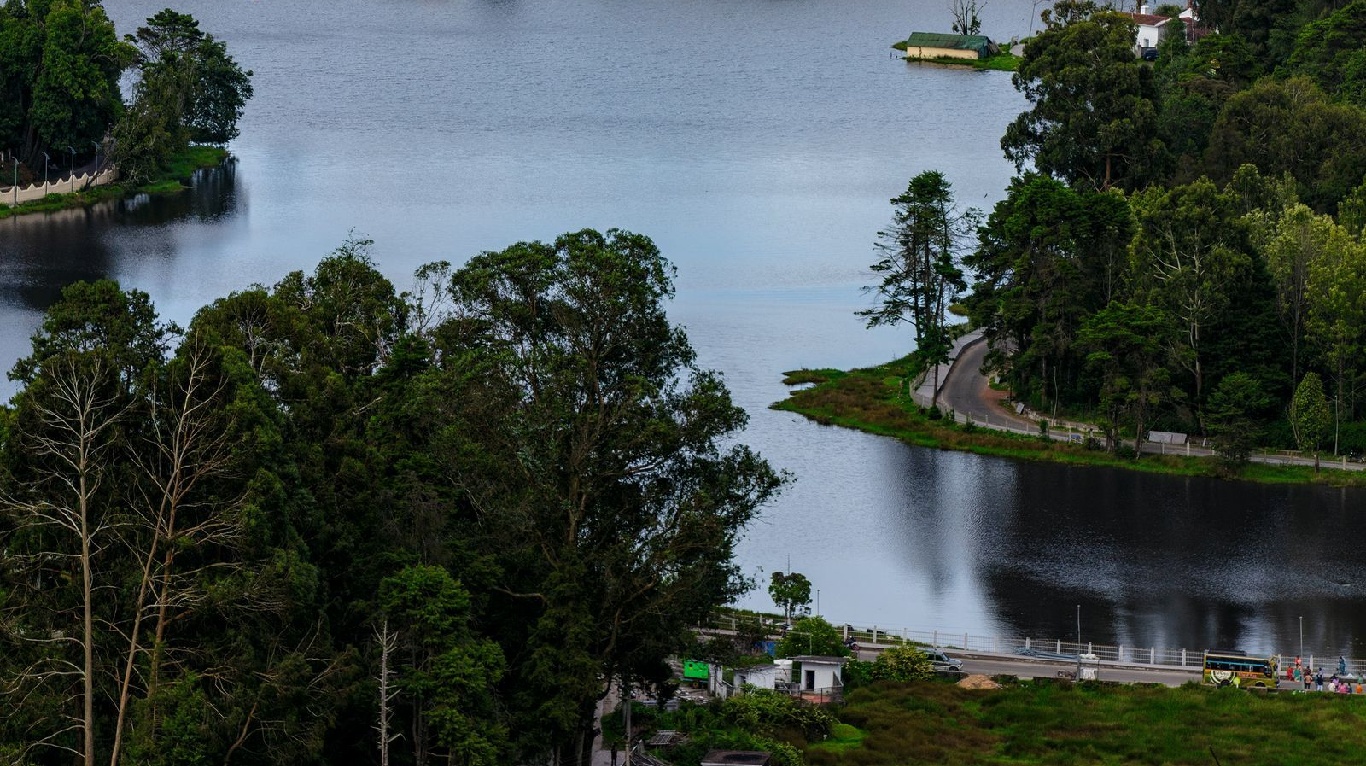 Boutique Hotel in Kodaikanal | Nature Resort in Kodaikanal