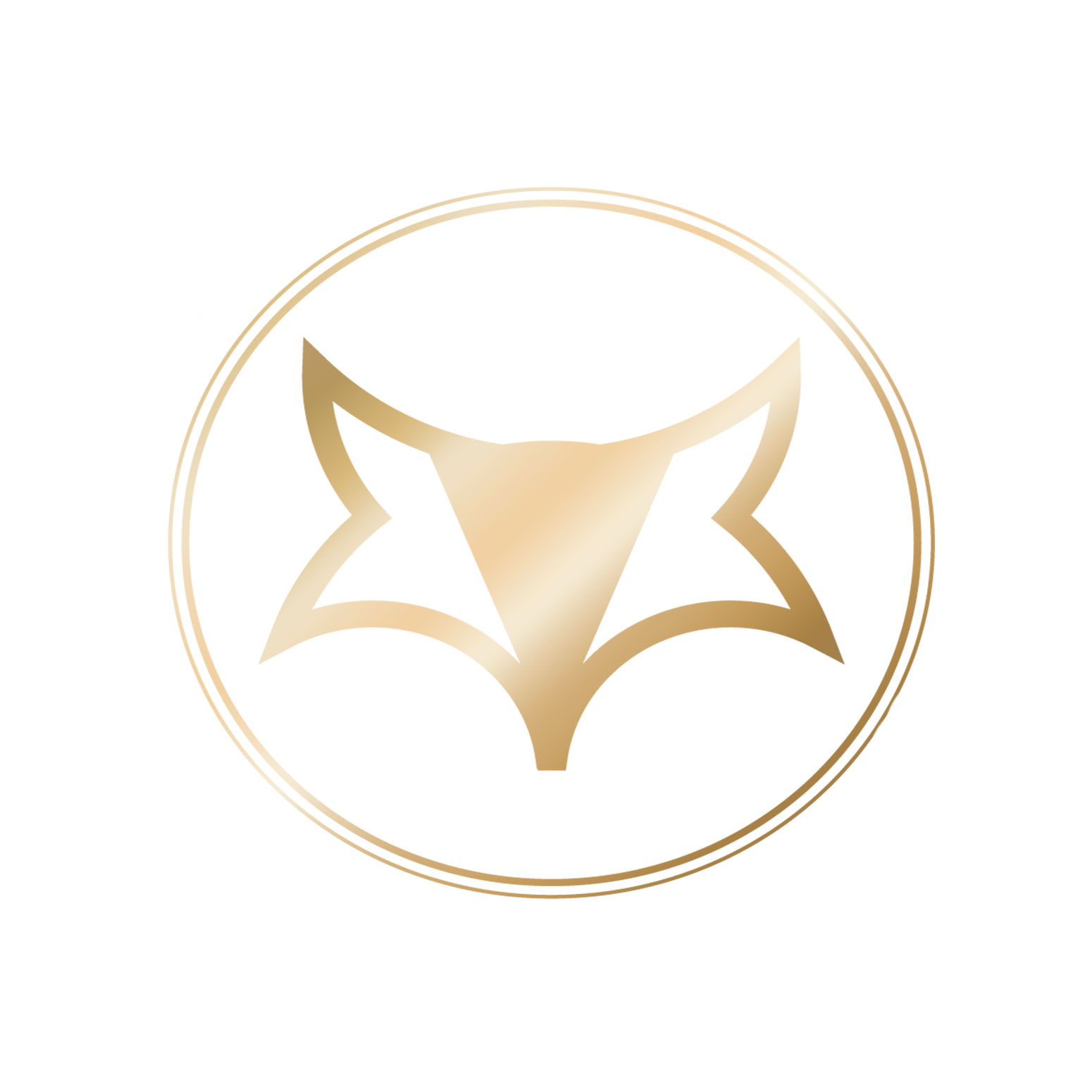 Denver Boudoir Photographer | Emerald Fox