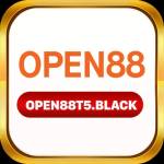 OPEN88 t5black Profile Picture