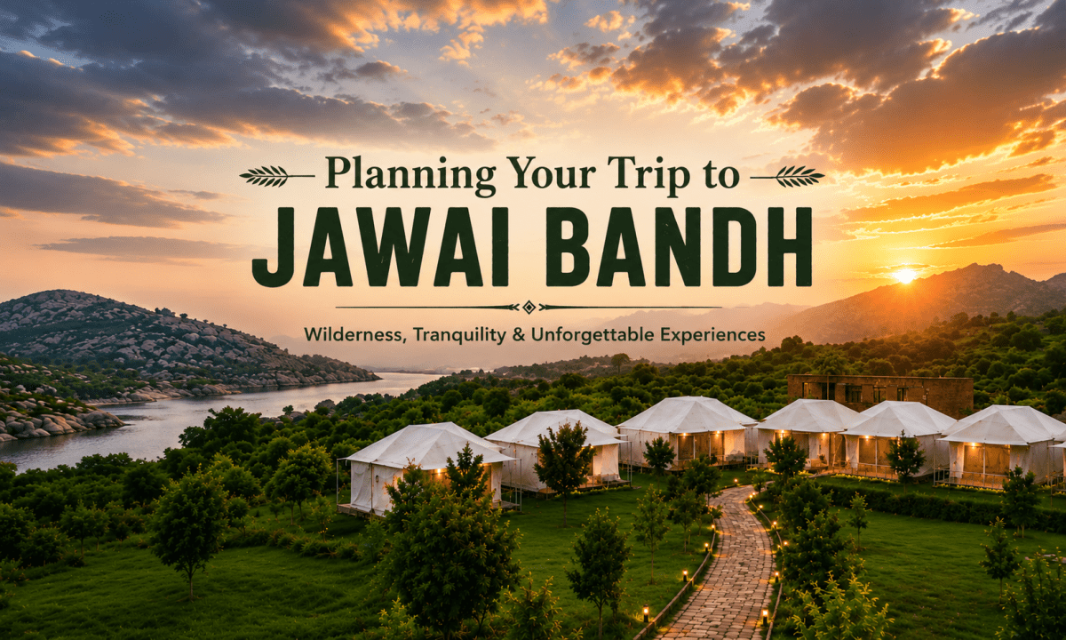 Planning Your Trip to Jawai Bandh: The Complete Travel Guide – Agvani Resort Jawai
