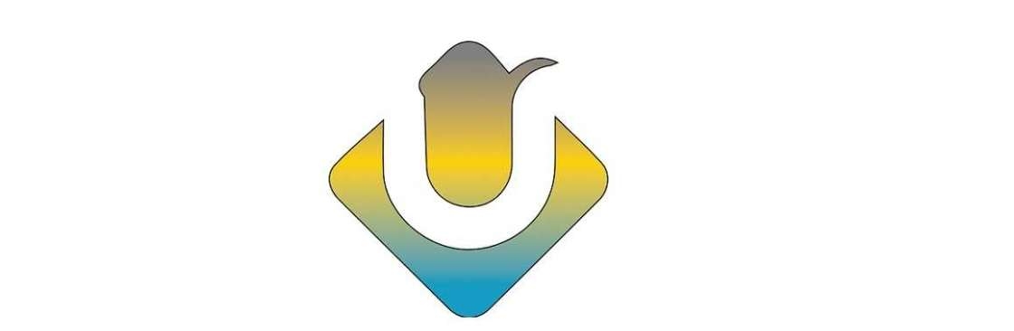 Ultimate Web Designs Cover Image