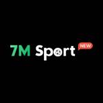 7M Tours Profile Picture